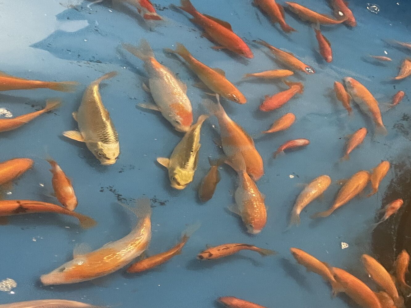 画像1504